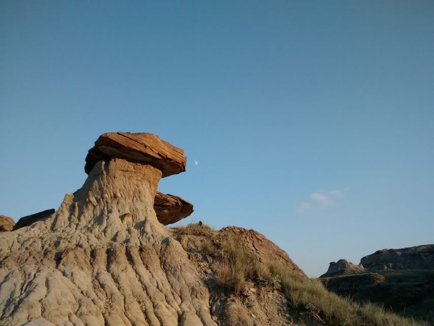 From Calgary: Canadian Badlands Private Geological Tour - Tour Experience and Exploration