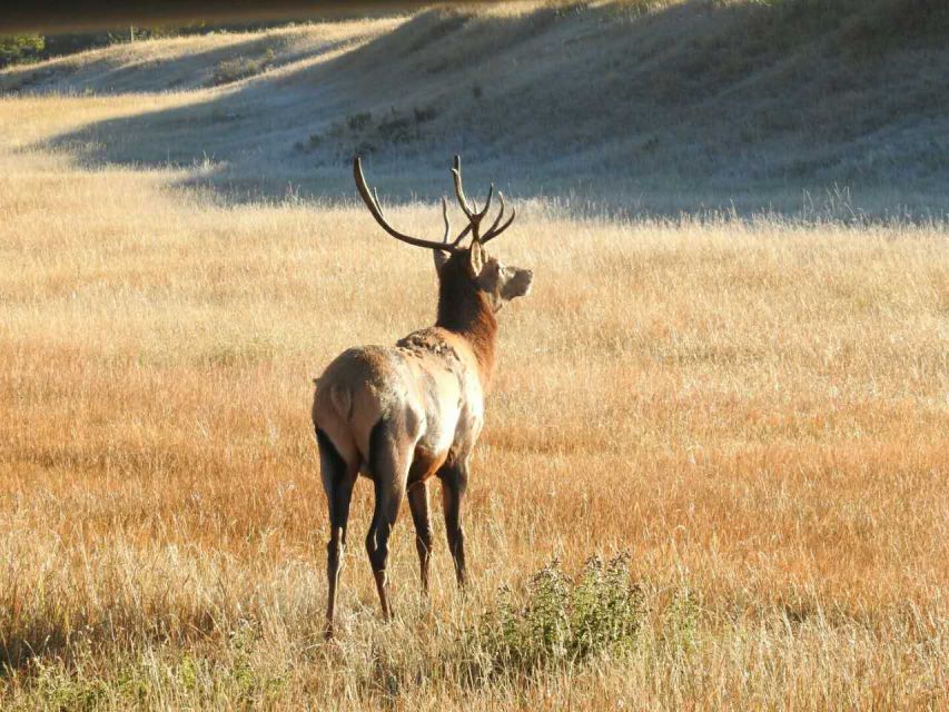 From Calgary: Deep 1 Day Tour in Banff - Additional Information