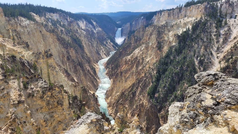 From Cody: Full-Day Yellowstone National Park Tour - Wildlife Encounters and Natural Wonders