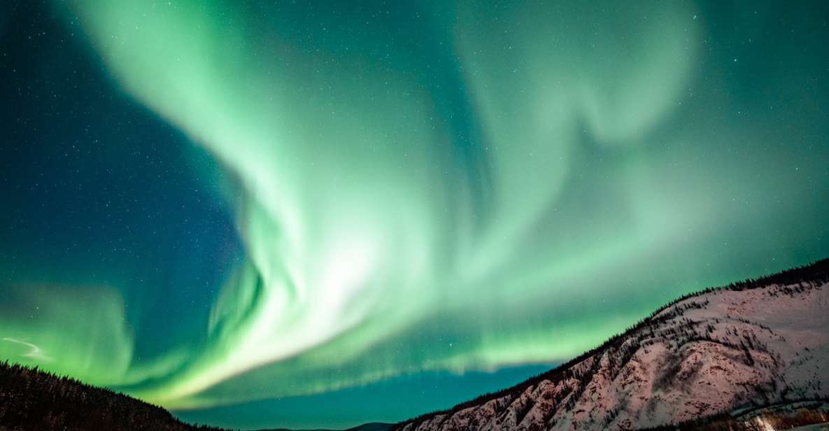 From Fairbanks: Arctic Circle Northern Lights Full-Day Trip - Experience Highlights