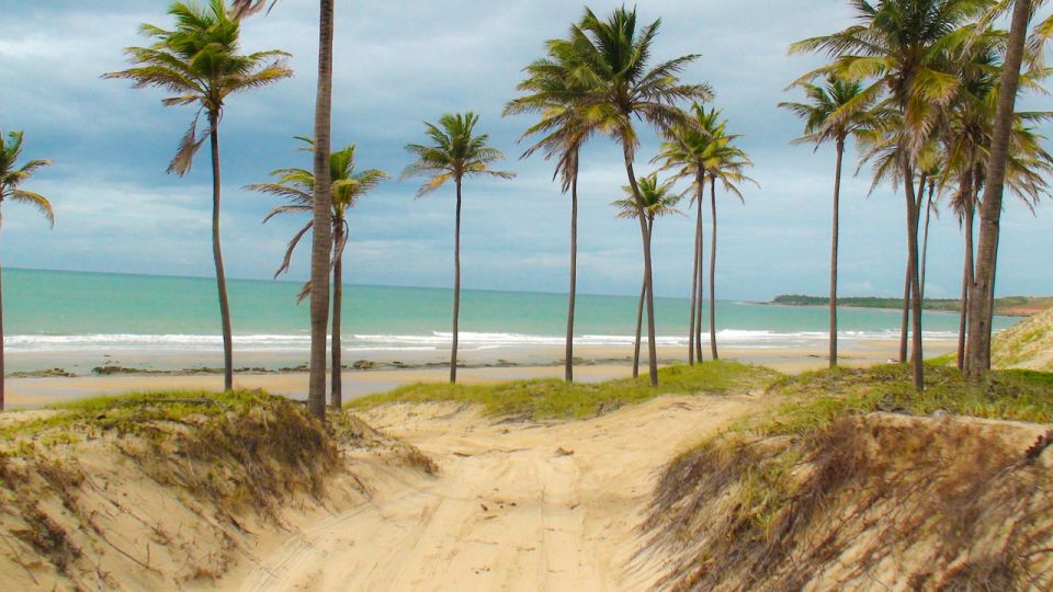 From Fortaleza: Lagoinha Beach Day Trip - Reviews and Ratings