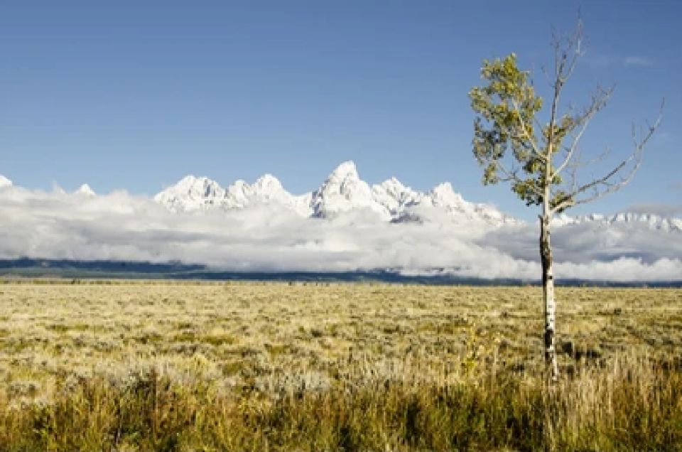 From Jackson: Grand Teton Wildlife & Scenery Tour With Lunch - Scenic Locations to Explore