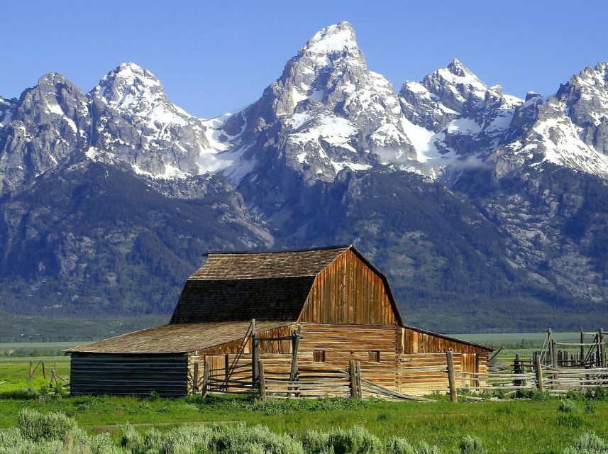 From Jackson: Half-Day Grand Teton National Park Tour - Points of Interest and Wildlife