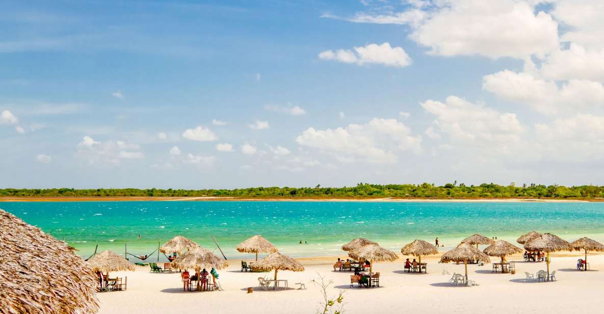 From Jericoacoara: Preá Beach and Paradise Lagoon Tour - Review Insights