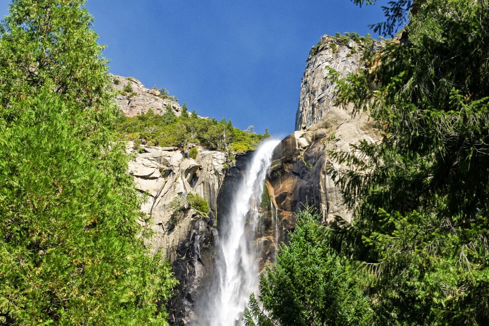 From Lake Tahoe: Yosemite National Park Day Trip With Lunch - Inclusions and Logistics