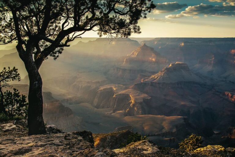 From Las Vegas: Grand Canyon South Rim Full-Day Tour