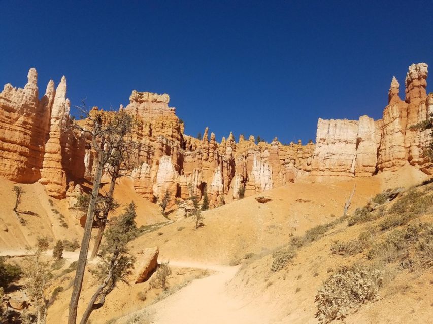 From Las Vegas: Zion and Bryce Canyon Guided Day Tour - Zion National Park Exploration