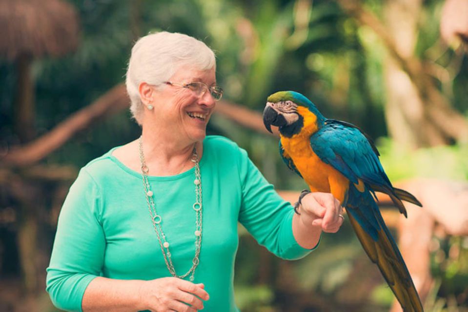 From Puerto Iguazú: Brazilian Bird Park Tour With Tickets - Detailed Description