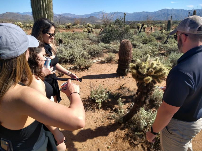 From Scottsdale: Sonoran Desert & Tonto National Forest Trip - Booking Information