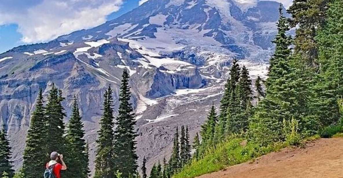 From Seattle: Full-Day Mt Rainier National Park Private Tour - Visitor Information and Reviews