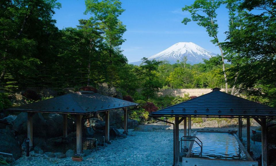 From Tokyo: Mount Fuji Day Trip With Yamanakako Hot Springs - Transportation Details