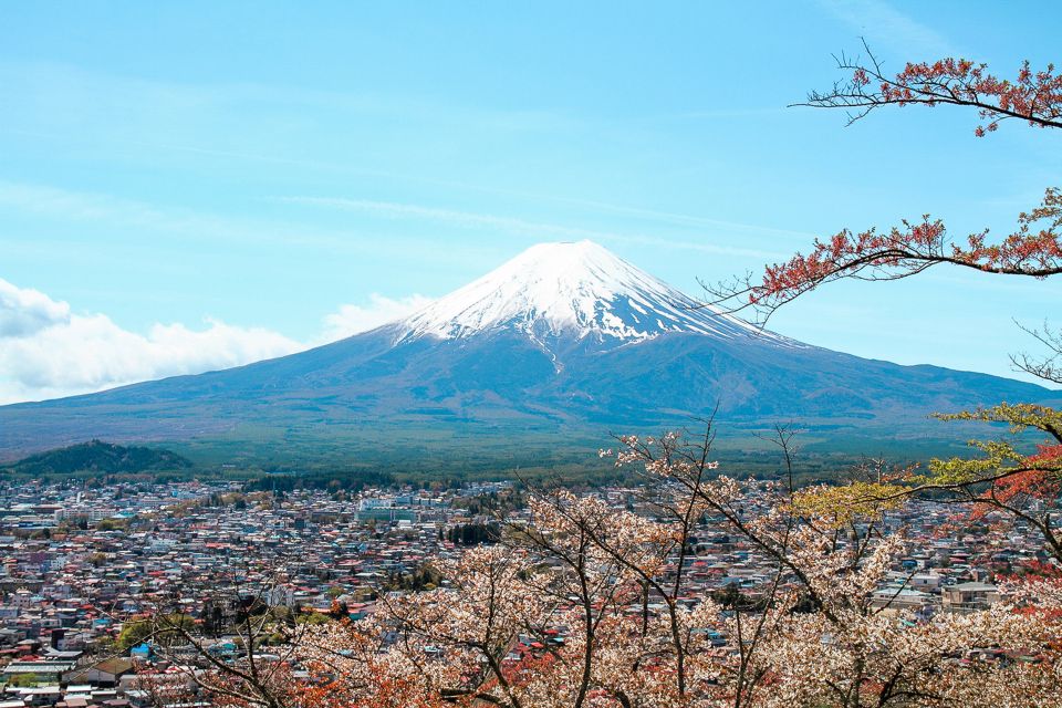 From Tokyo: Mt. Fuji Full-Day Sightseeing Trip - Highlights of the Trip