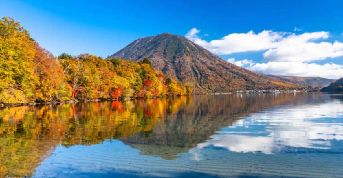 From Tokyo: Nikko UNESCO Shrine and Nature View 1-Day Tour - Participant Information