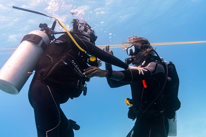 From Waikiki, Oahu 5-Hour Introduction to Scuba Diving - Customer Feedback Highlights