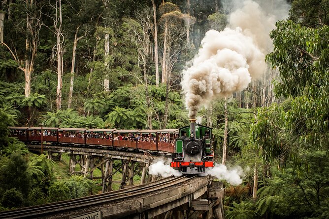 Fruit-Picking & Puffing Billy Steam Train 1-Day Tour in Chinese - Booking and Cancellation Policy