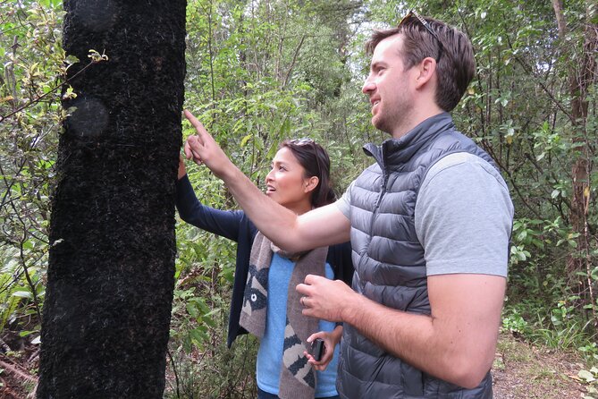 Full-Day Abel Tasman National Park Hiking Tour With Cruise - Booking Details