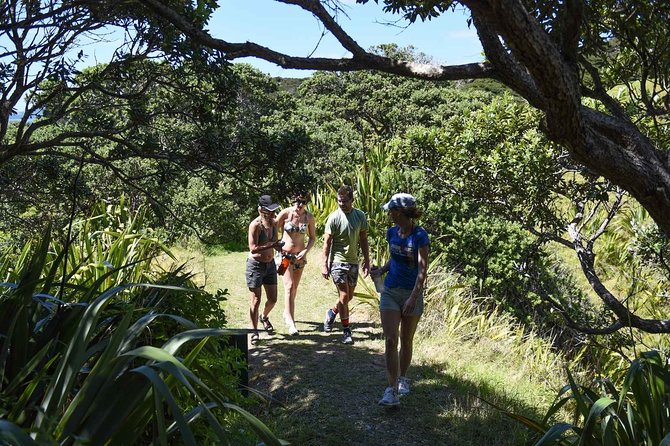 Full-Day Adventure Cruise With Lunch in Bay of Islands - Cancellation Policy Information