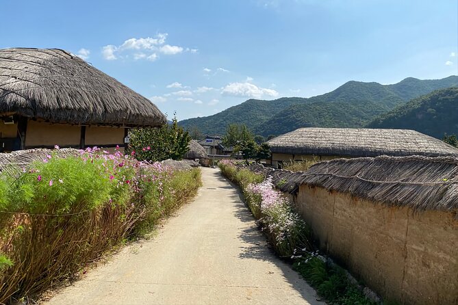 Full-Day Andong Hahoe Village Train Tour From Busan - Transportation Options