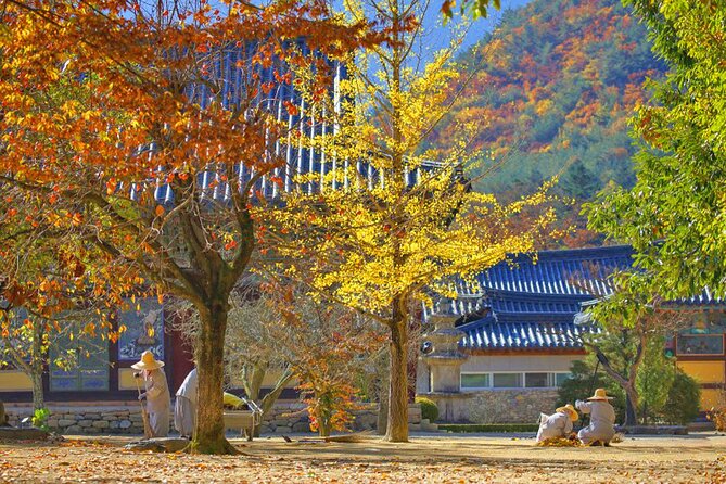 Full-Day Autumn Tour From Busan to Unmunsa Bhikkhuni Temple - Autumn Scenery Experience