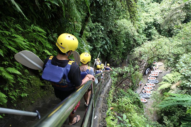 Full-Day Ayung River White Water Rafting and Ubud Tour - Reviews and Feedback From Participants