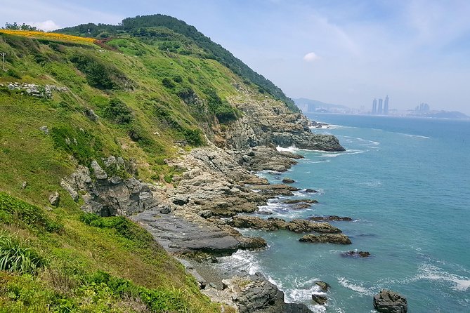 Full-Day Busan Tour Including Haedong Yonggungsa Temple - Itinerary Highlights and Stops