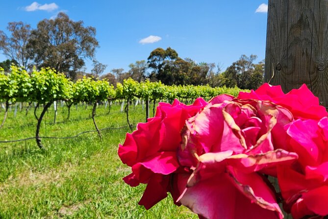 Full-Day Canberra Winery Tour to Murrumbateman /W Lunch - Booking Process