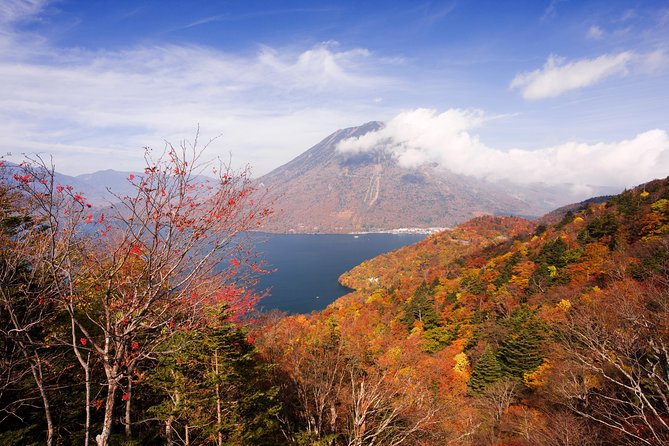 Full Day Enjoy Nature Nikko To-And-From Tochigi Pre. up to 12 - Whats Included