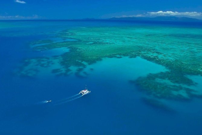 Full-Day Great Barrier Reef Sailing Trip From Cairns - Crew Experiences