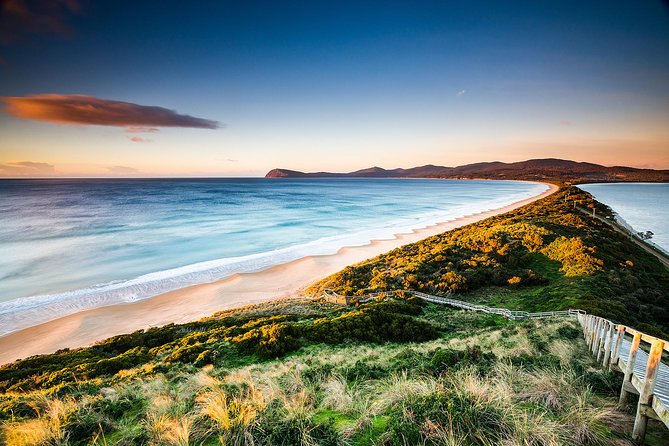 Full-Day Guided Bruny Island Tour From Hobart - Booking and Cancellation Policy
