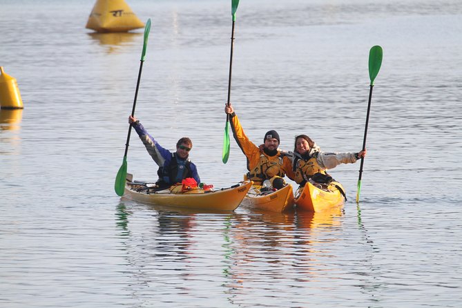 Full Day Guided Sea Kayak Tour From Picton - Cancellation Policy