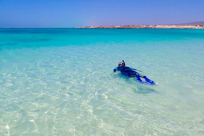 Full-Day Hiking and Snorkeling Tour, Ningaloo and Cape Range  - Exmouth - Booking and Pricing