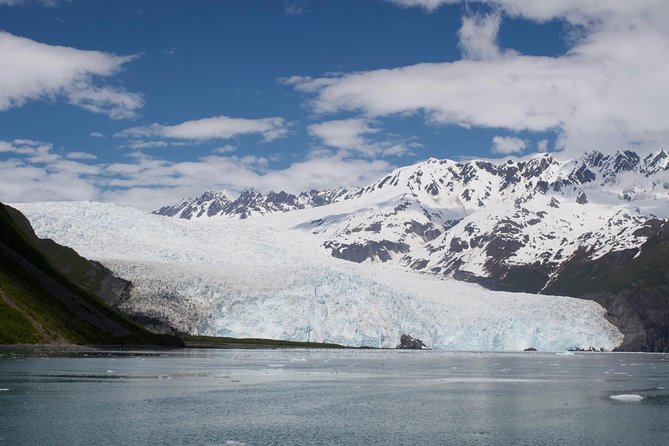 Full-Day Kenai Fjords National Park Cruise - Traveler Reviews