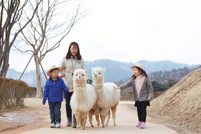 Full-Day Legoland and Alpaca World Guided Tour From Seoul - Alpaca World Experience