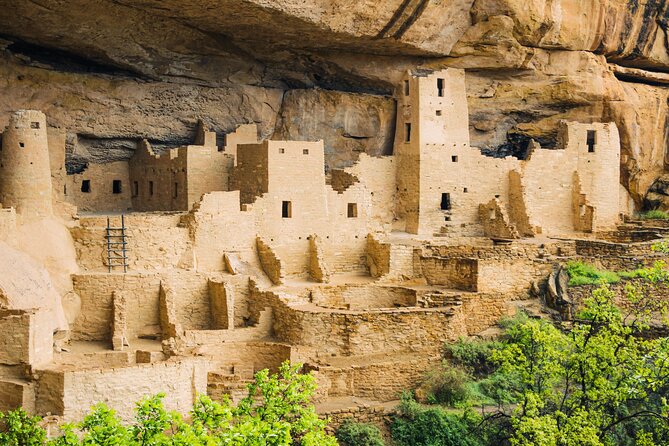 Full-Day Mesa Verde Discovery Tour - Reviews and Feedback