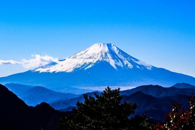 Full Day Mt.Fuji Chartered Taxi Tour - Tour Guide and Transportation Details