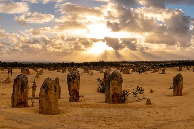 Full-Day Pinnacles Desert and Yanchep National Park Tour From Perth - Lunch and Sightseeing Stops