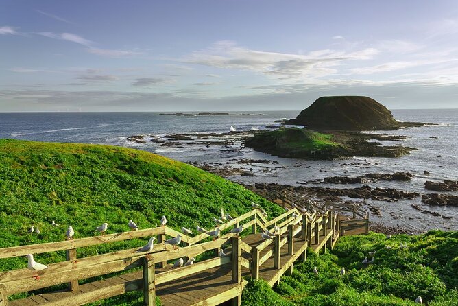 Full-Day Private Australian Wildlife Tour of Phillip Island - Pickup Information and Policies