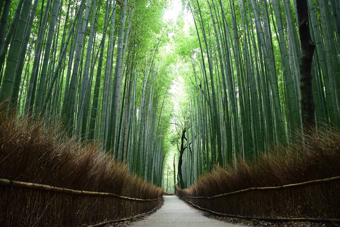 Full-Day Private Bamboo Grove and Golden Temple in Kyoto Tour - Additional Recommendations