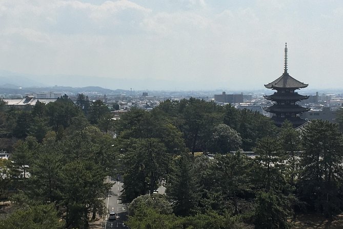 Full-Day Private Guided Tour to Nara Temples - Insider Tips for a Memorable Experience