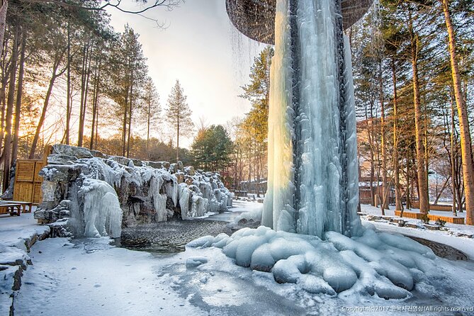 Full Day Private Tour Nami Island & Gangchon Elysian Ski - Nami Island Exploration