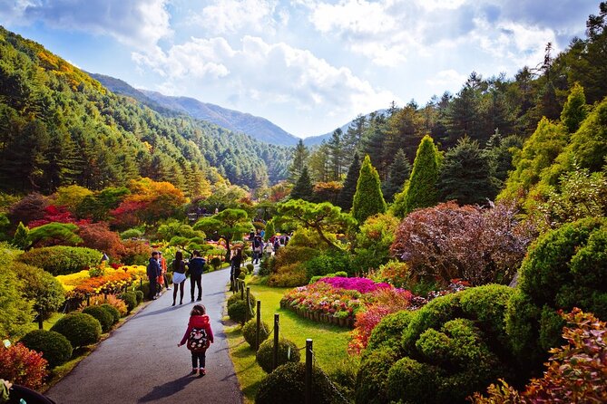 Full Day Private Tour Nami Island, Garden & Petite France - Reviews and Testimonials