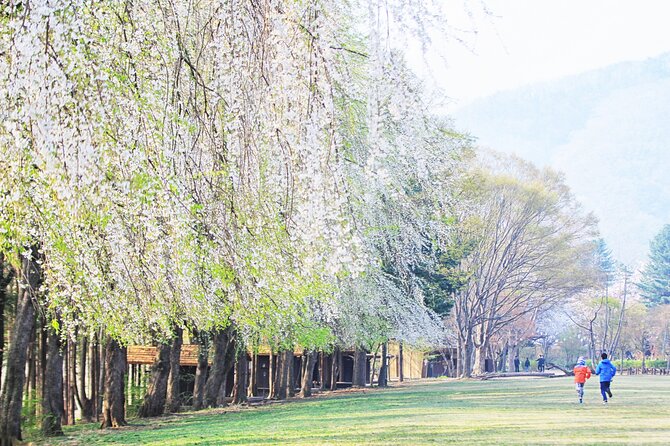 Full-Day Private Tour to Alpaca World/Nami Island With Tickets - Booking Information