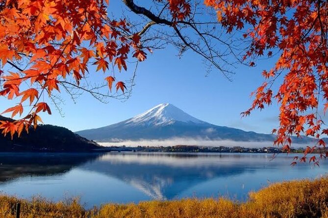 Full Day Private Tour With English Speaking Driver in Mount Fuji - Service Experience