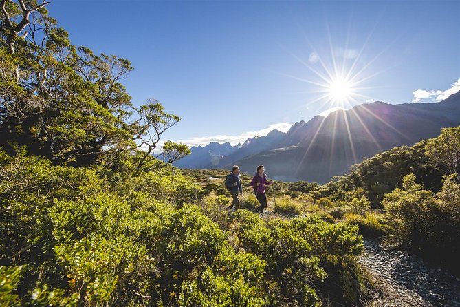 Full-Day Routeburn Track Key Summit Guided Walk From Te Anau - Requirements and Restrictions