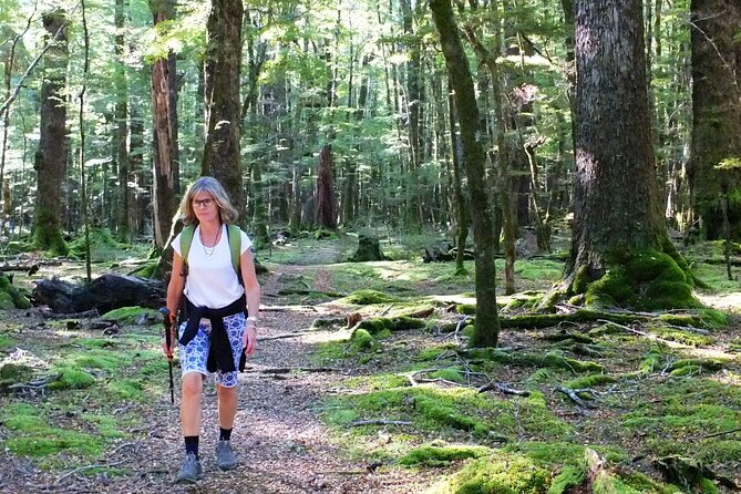 Full-Day Small-Group Routeburn Valley Walk - Customer Reviews and Ratings