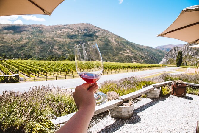 Full-Day Small-Group Wineries Tour With Tastings, Queenstown - Tasting Experiences