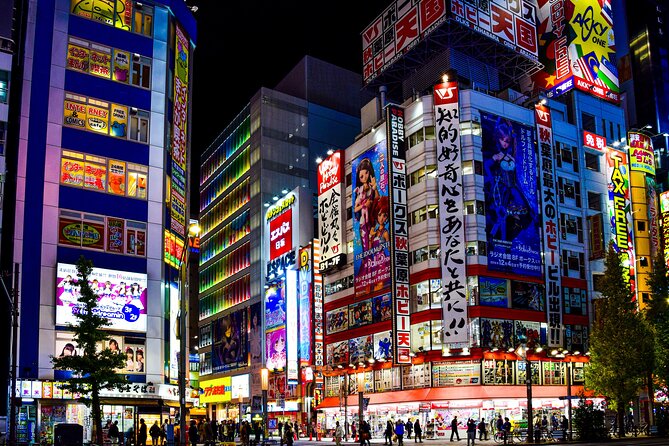 Full Day Tokyo Personalized Private Sightseeing W/English Driver - Transportation and Pickup Details