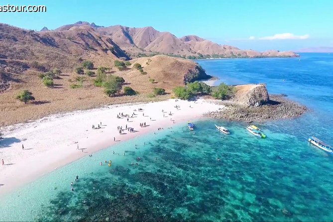 Full Day Tour to Komodo Island by Speed Boat to Explore 6 Destinations - Customer Reviews and Ratings