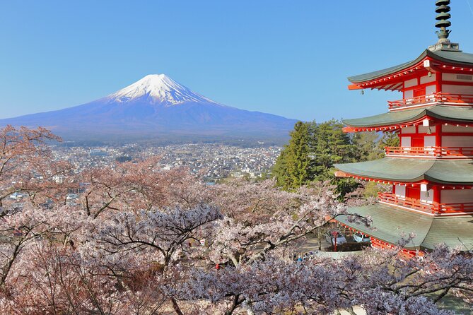 Full Day Tour to Mount Fuji - Traveler Reviews