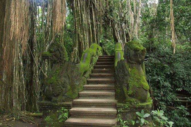 Full-Day Tour Ubud Best Things to Do in Ubud - Tirta Empul Water Temple